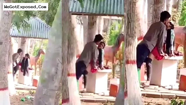 Hidden Cam Desi Couple Park Sex Leaked