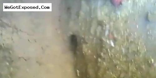 Paki girl show tits & pussy Leaked video